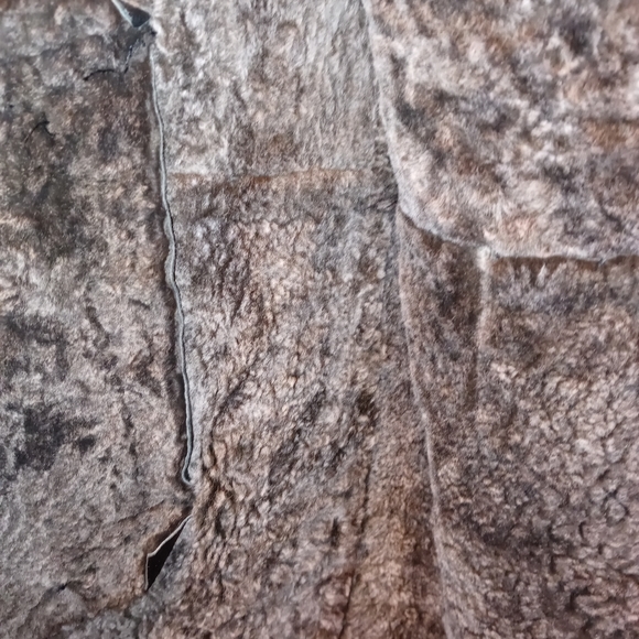 Jacket - Picture 5 of 8